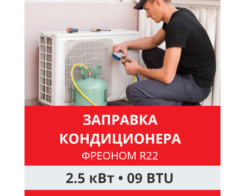 Заправка кондиционера Funai фреоном R22 до 2.5 кВт (09 BTU)